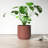 Parsons Handmade Ceramic Pot Planter-94670983-94670982