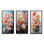 «Lilies Représentation multicolore acrylique III», 3 pièces sur toile