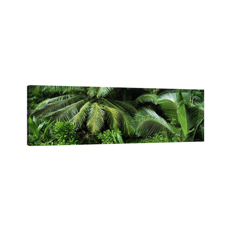 Palm Fronds And Green Vegetation, Seychelles - Wrapped Canvas Panoramic Print, 182.88 cm H x 60.96 cm W