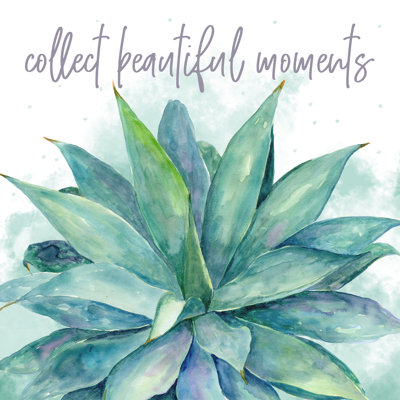 Moments Succulent - Wrapped Canvas Print