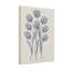 Plantes et fleurs