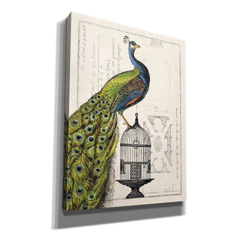 "House of Hampton" Peacock Birdcage I "par Sue Schlabach, estampe numérique sur toile, L 12 po x H 16 po