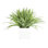 Decorative Grass In Ceramic Vase