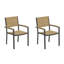 Travira Dining Arm Chair-1054275836-1016328267