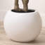 250cm Faux Tree in Cement Pot