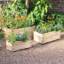 Gustavo Wood Planter Box