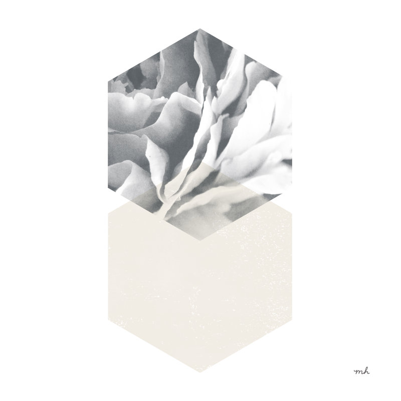 Blossoms IV by Moira Chocolate - Wrapped Canvas Print, 30cm H x 30cm W