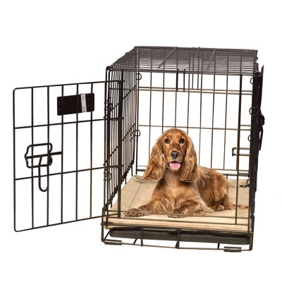 Tapis de caisse pour chien auto-chauffant