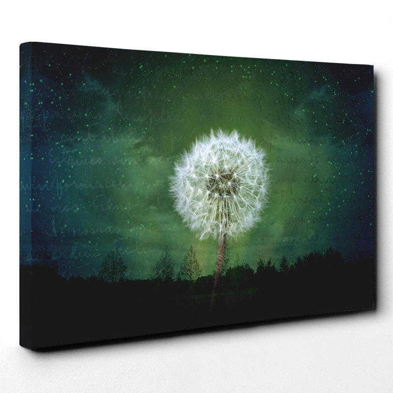 Wrapped Canvas Print, 50cm H x 76cm W