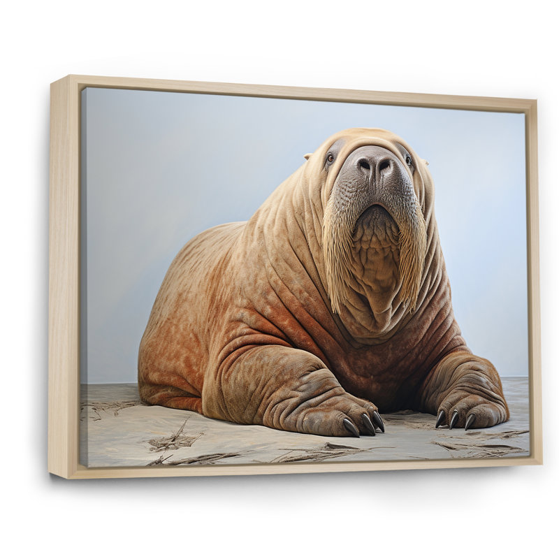 Habitation de morse paresseux sur toile, Cadre photo noir, H 16 po x l 32 po