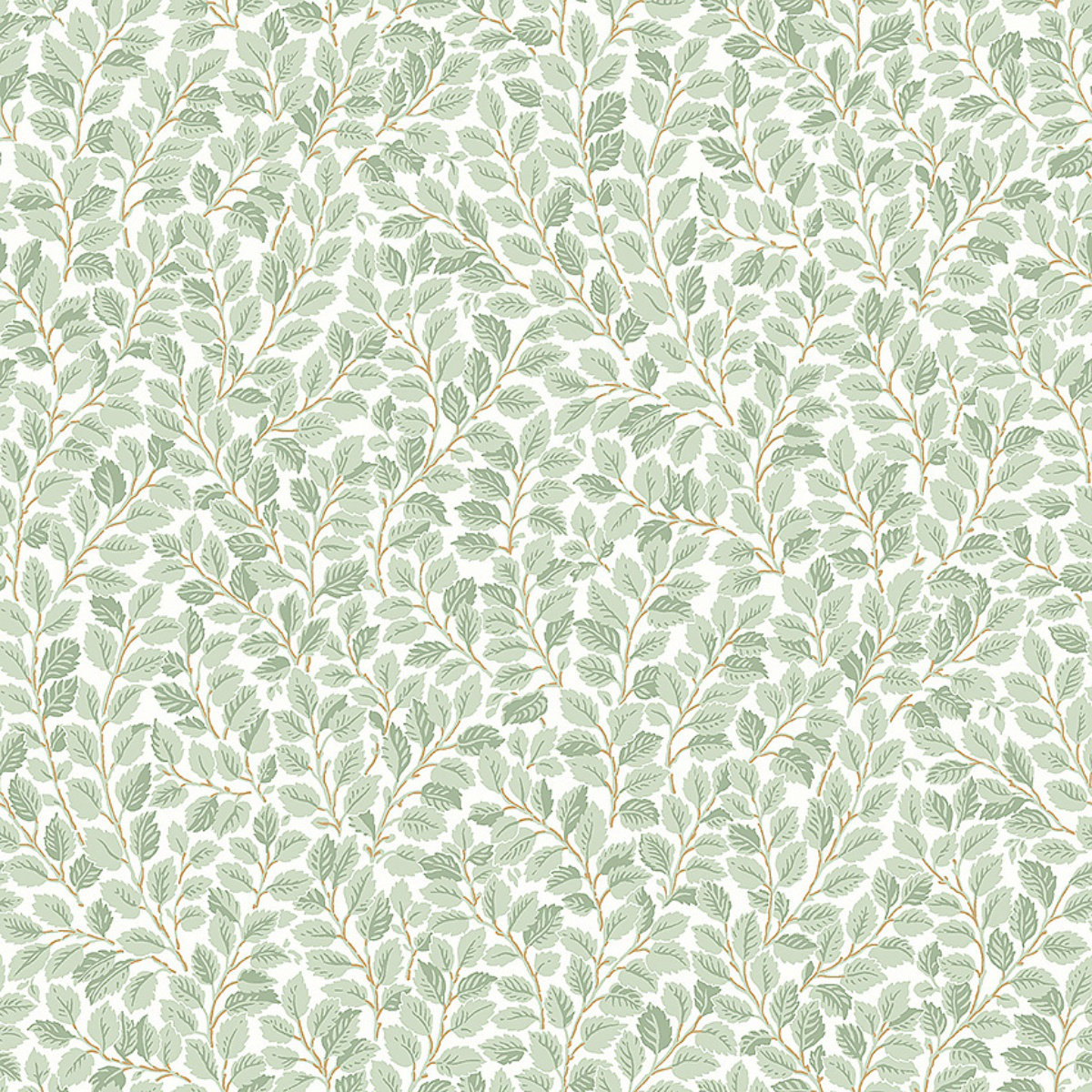 Herbarium Fabric, Wallpaper and Home Decor | Spoonflower