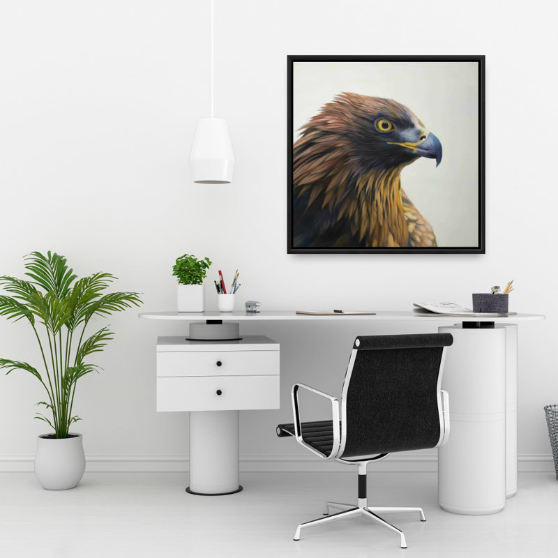 " Brown-headed Eagle "