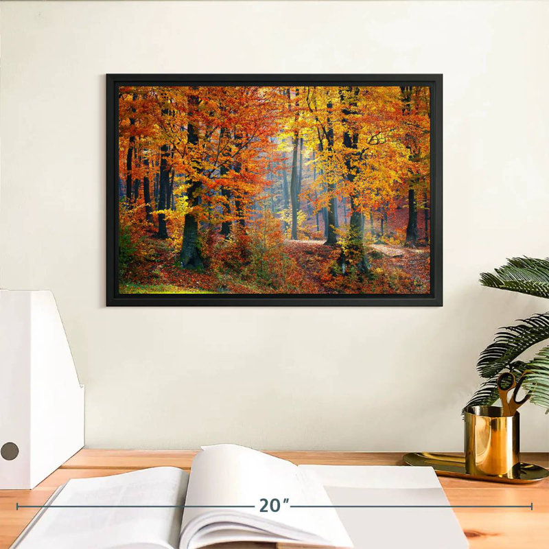Arbres d'automne, Cadre flottant noir, 13 po x 9 po
