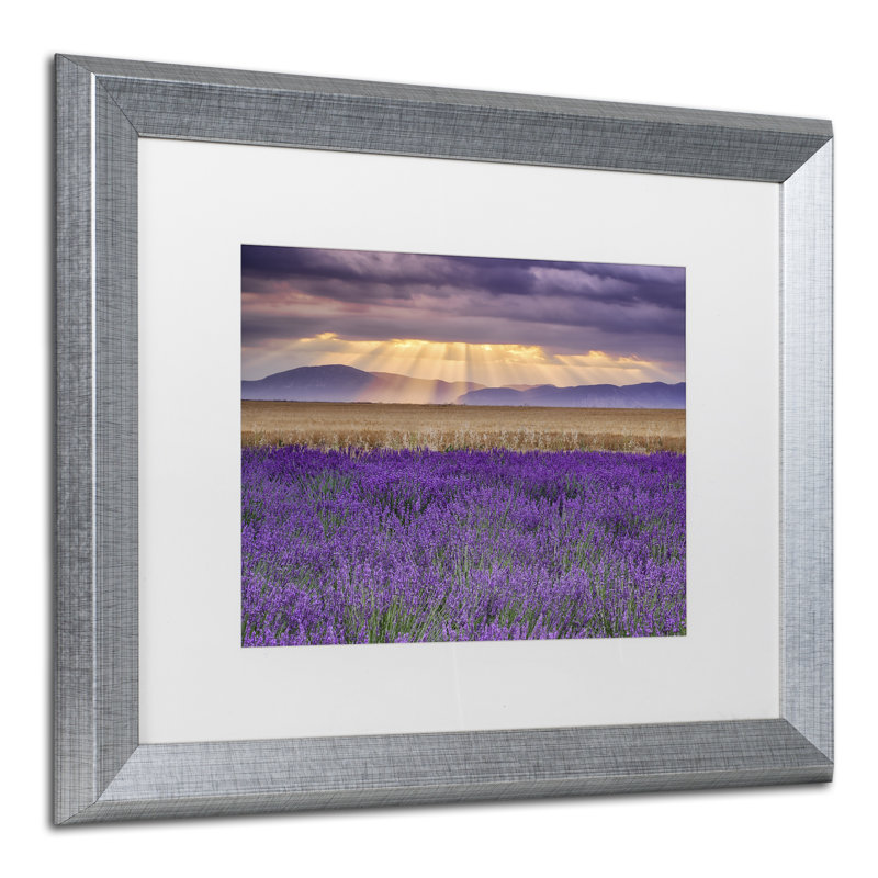 « lavandest », reproduction de photo sur toile encadrée, Blanc, H 16 po x l 20 po x P 0,5 po
