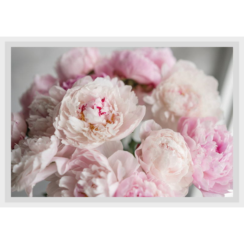 Rose - Single Picture Frame Print, 50 cm H x 60 cm W x 5cm D