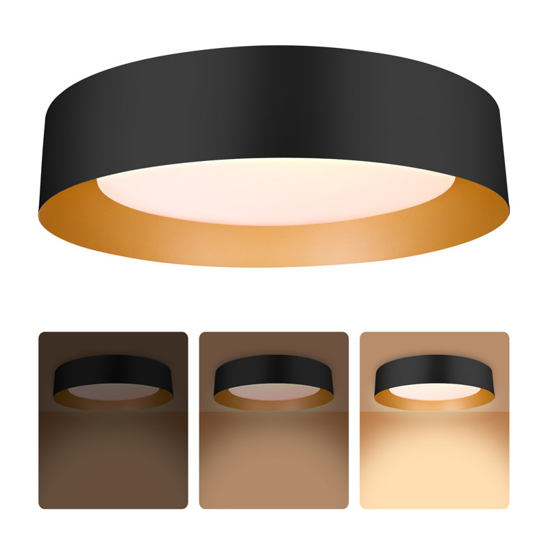 Frachia LED Flush Mount Lighting