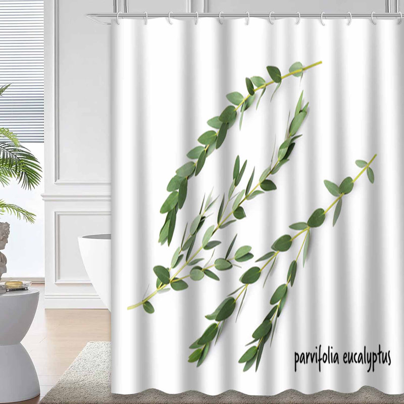Rideau de douche avec 12 crochets Eucalyptus, L 72 po x l 72 po