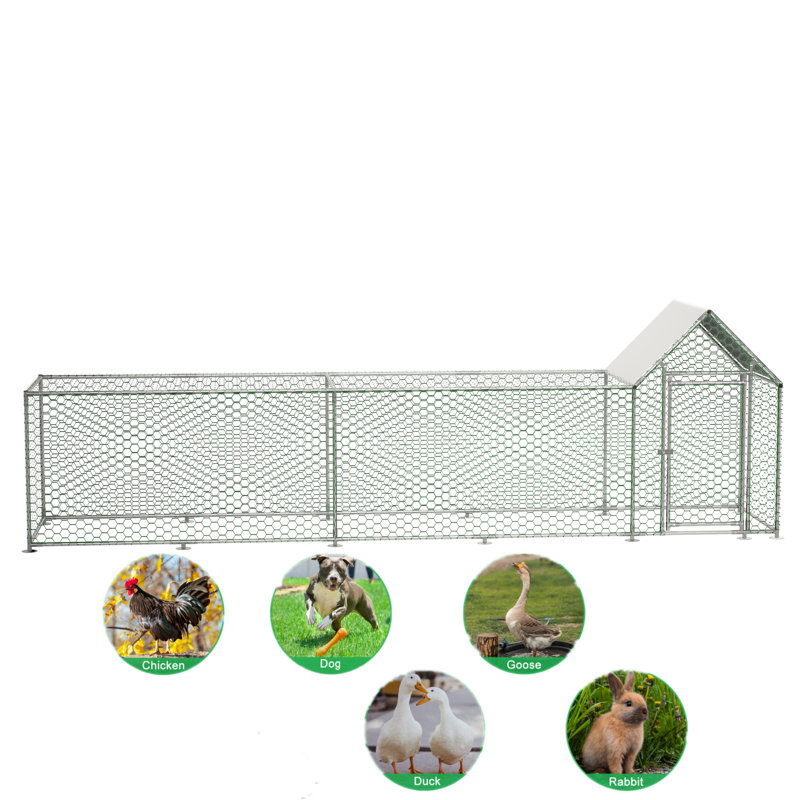 Poulailler Erminna 48 pieds carrés