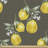 Fab_31925_Ambesonne, tissu floral à la cour, branches de citron avec pétales de croissance, impression sur le thème de la nature, tissu décoratif pour le revêtement et les accessoires de maison, vert olive jaune-57233163