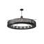 Loxley 16 - Light Chandelier