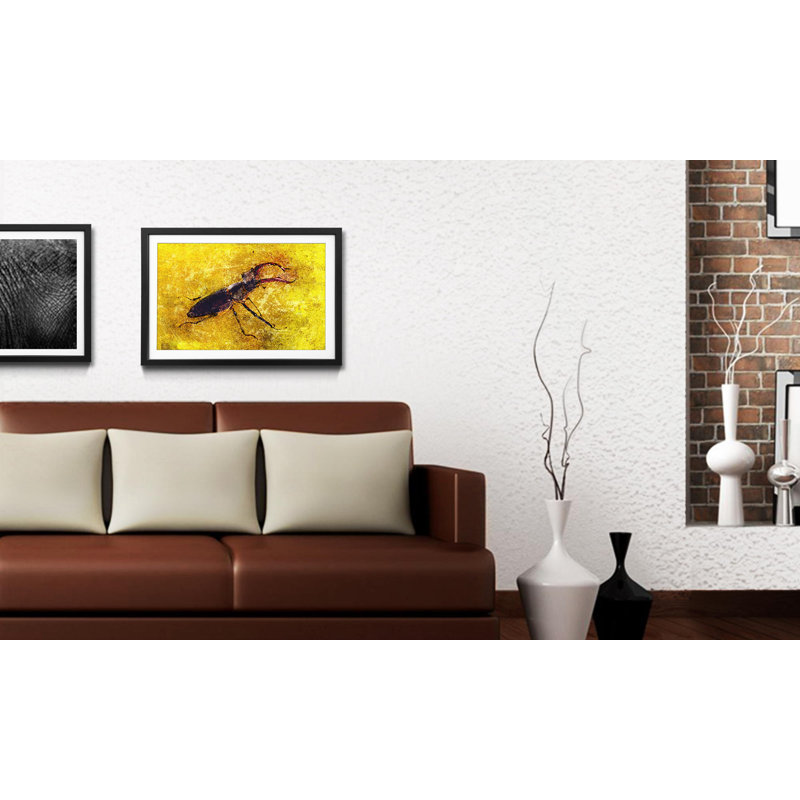 Naturdetails Stag Beetle - Single Picture Frame Print, 44cm H x 64cm W x 2.2cm D