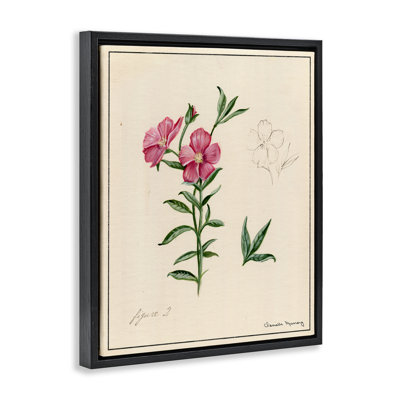 «Science Study», art mural sur toile flottante à fleurs roses, design par Danielle Murray