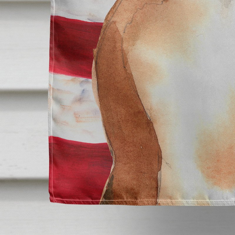 Drapeau de maison en polyester à 2 côtés Shahnur, Boxer brun