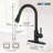 AlenArtWater Pull Down Kitchen Faucet