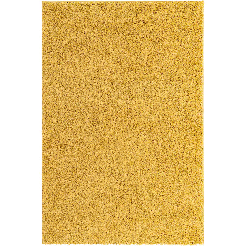 Indoor Rug, Rectangle 6' x 9'