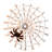 LED Lighted Halloween Spider Web Lights with Spider and Remote Control