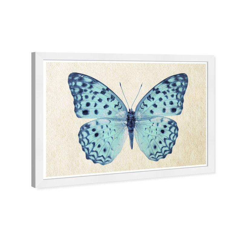 Animaux, papillon bleu, impression sur papier blanc traditionnel