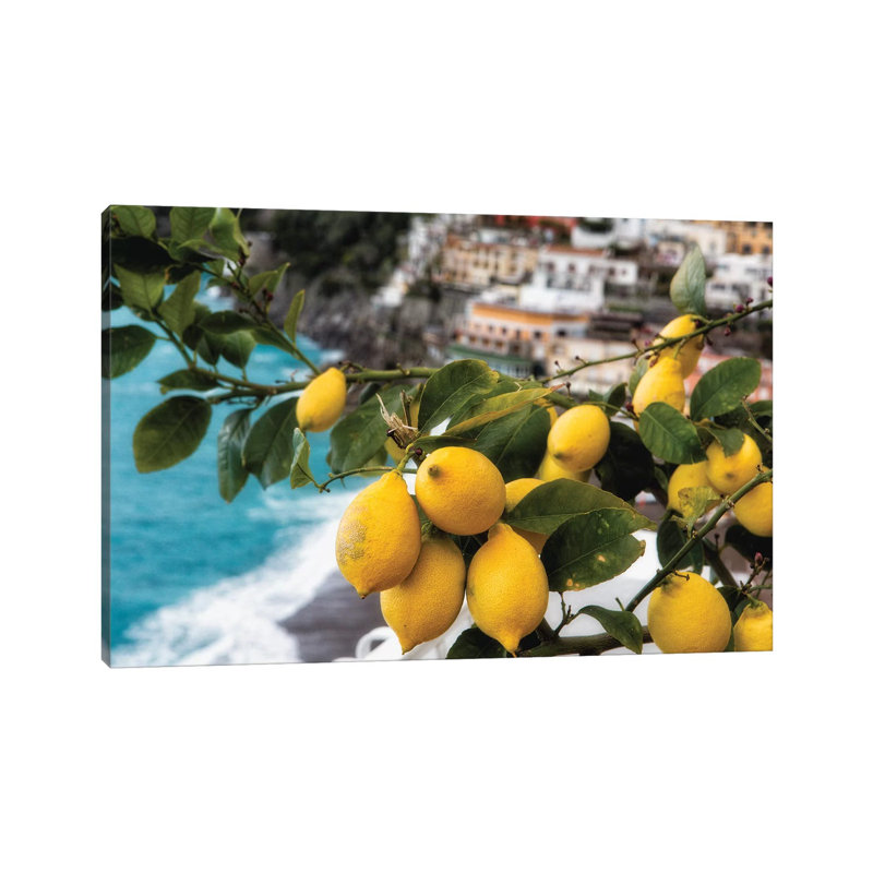 «Gros plan sur un citronnier avec fruit» - impression, H 26 po x l 40 po x 1,5 po, Toile tendue