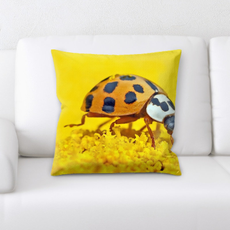 Coussin en fausser les coléoptères marie