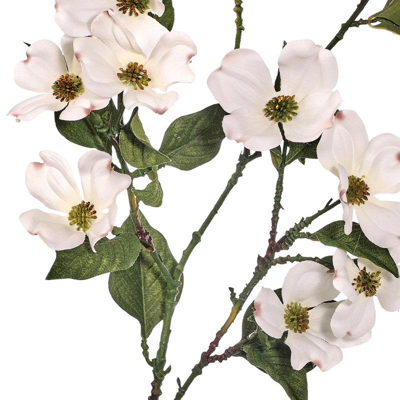 North American Dogwood Spray 40" 
