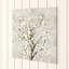 Bloom Tree by Asia Jensen - Print on Canvas-1851621546-1875278527
