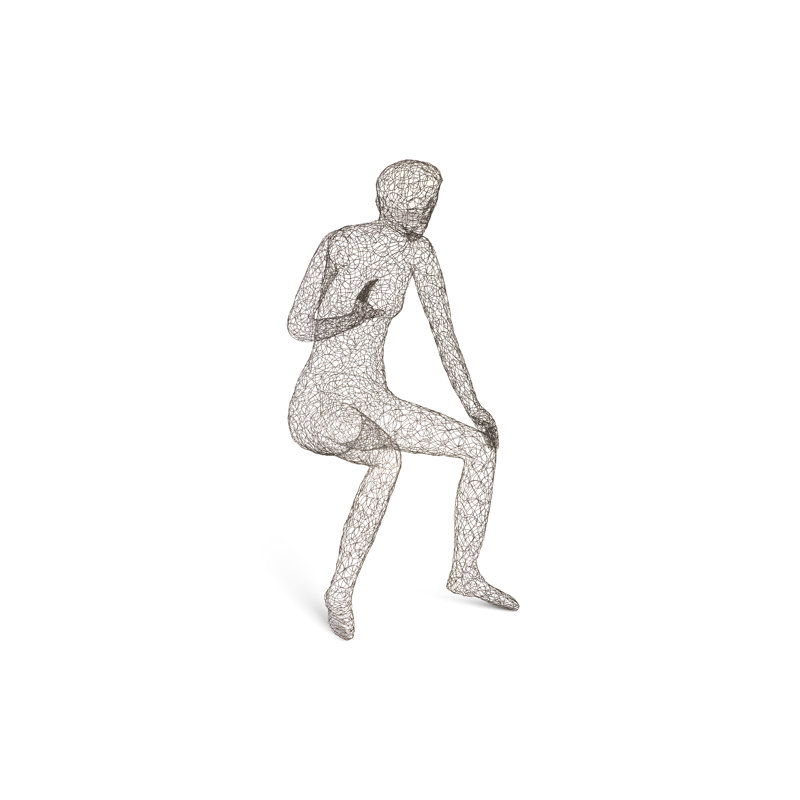 Crazy Wire Metal Garden Statue