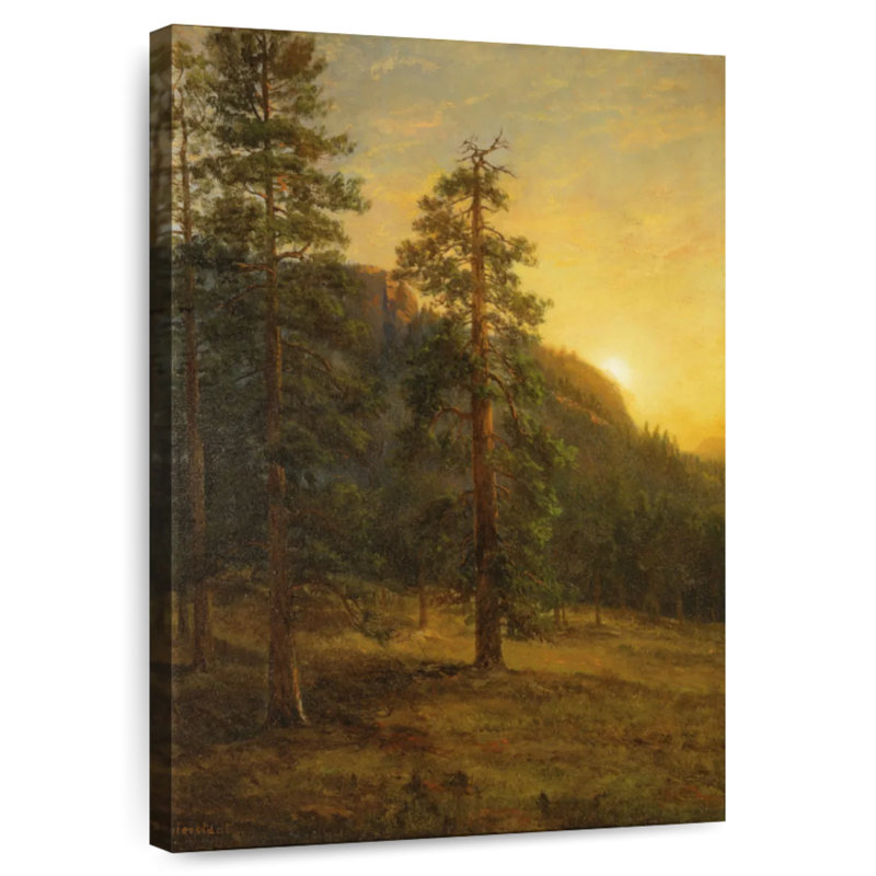 Redwoods de Harnek, Californie, 1872, H 24 po x l 16 po