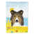 Berger Shetland