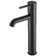 Argenta Single-Hole Single-handle Bathroom Faucet