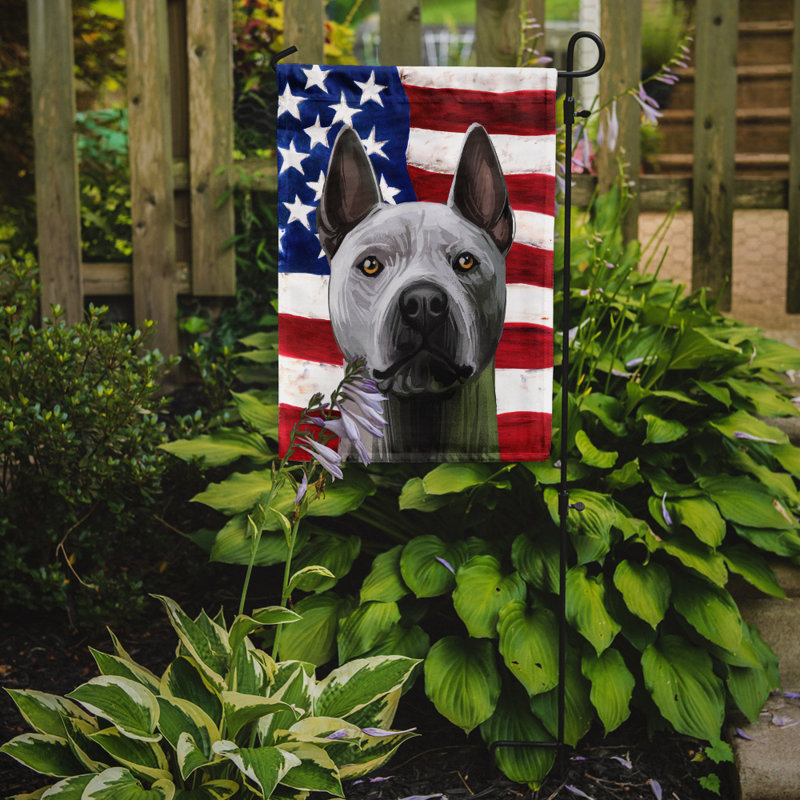 Double Sided 15'' H x 11'' W Polyester Independence Day Garden Flag, Thai Ridgeback