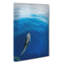 Singular Dolphin - Wrapped Canvas-55340326