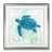 " Reef Turtle II "-33348910-33488643