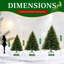 Christmas Tree-1353316422