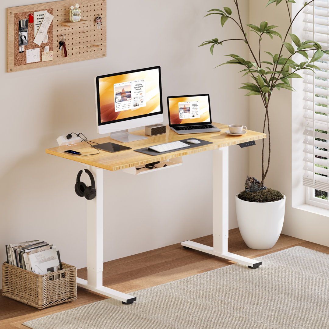 Eric Height Adjustable Standing Desk, 100% Bamboo Desktop Inbox Zero Frame