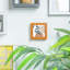 Nicola Spring - 3D Box Photo Frame-50928719-50928718
