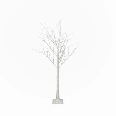 Arbres de noël