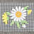 100% Turkish Cotton Daisy Embellished Towel Set-1508833417-1574927584