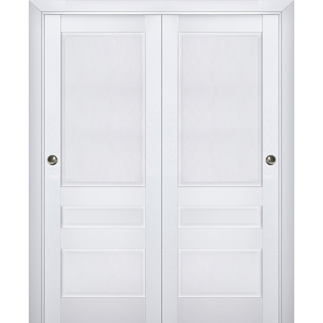 Veregio Paneled Wood Sliding Closet Doors SARTODOORS 