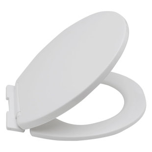 Toilet lid-024