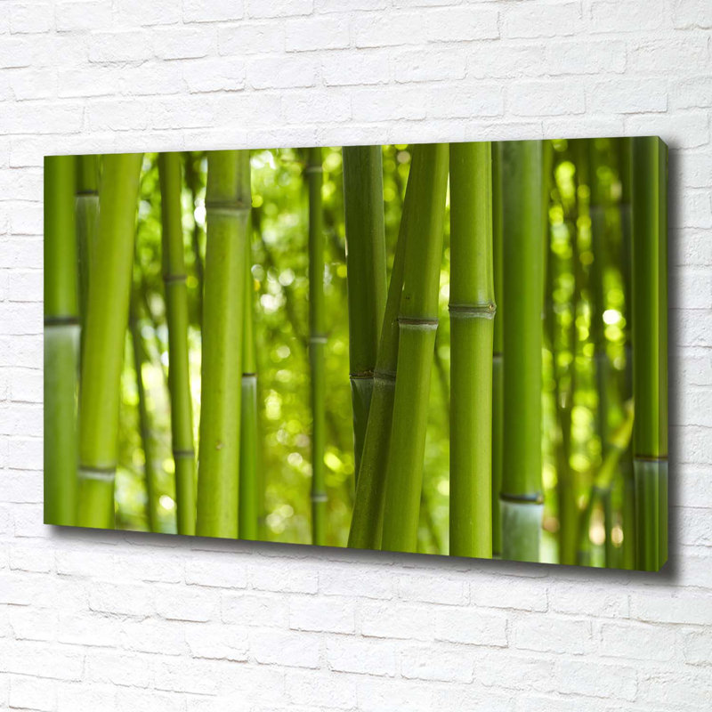 Bamboo - No Frame Print on Canvas
